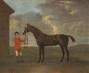 Francis Sartorius The Racehorse 'Horizon' Held by a Groom by a Building Sweden oil painting artist